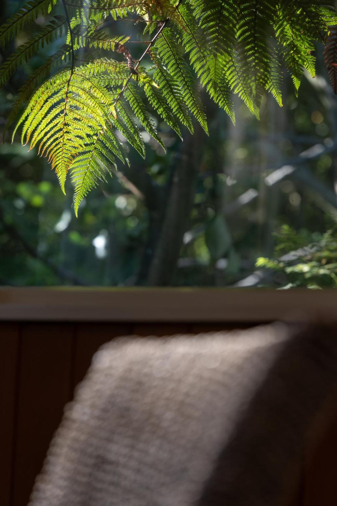 Hidden Hideaway Villa Кайкура Екстериор снимка